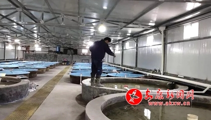 嵐皋縣各漁業企業有序開展復工復產工作，保障畜牧漁業飼料供應