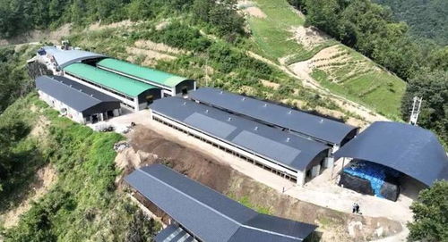 2024年安康畜牧漁業(yè)產(chǎn)業(yè)發(fā)展規(guī)劃與展望 聚焦飼料核心，驅(qū)動(dòng)產(chǎn)業(yè)升級(jí)