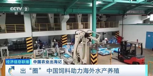 油菜籽扎根巴基斯坦，飼料游進(jìn)越南蝦塘 中國(guó)農(nóng)業(yè)這樣出海